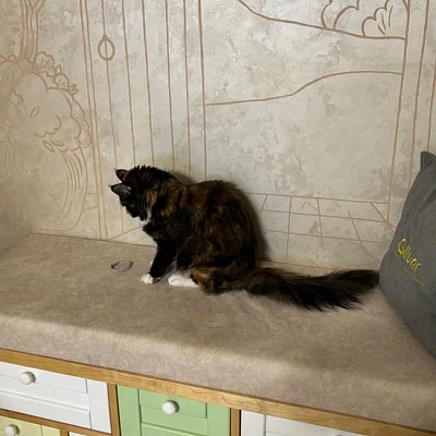 Алексей Синицын